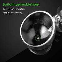 Vaso De Cristal Para Acuario Con Aspiradores Pot Para Cultivar Semillas De Plantas Acuáticas Y Coral Decoración Para Tanque De Peces - details 3