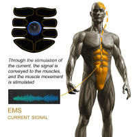 Estimulador Muscular EMS Eléctrico Entrenador De Músculos Abdominales Y Glúteos Masajeador Corporal Recargable Para Pérdida De Peso Y Fitness Trabaja En Abdomen Cintura Brazos Espalda Piernas Unisex - details 2