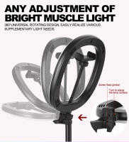 MZ-10 Luz de relleno en vivo plegable telescópica integrada de 10 pulgadas 3 modos de luz 10 niveles de brillo Anillo de luz LED regulable para fotografía de maquillaje YouTube Vlog TIK Tok Envió 24Horas - details 11
