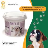 PINOLAT CANIS – Leche en polvo para perros cachorros de Laboratorios Pino + cacillo medidor + biberón. 500Gr. - details 2