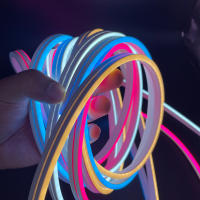 Tiras De Luces Neón Flexibles 5V USB Impermeables Para Exterior Decoración De Juego Sala De Estar Cocina Dormitorio Halloween Navidad LED Lámpara - details 6