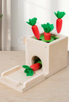 Caja De Monedas De Madera Montessori Para Niños Juguete Sensorial De Doble Cajón De Formas Y Colores Regalo Para Bebés Educativo Y Divertido - details 17