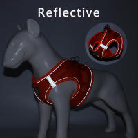 Harnés Para Gatos Con Correa Set De Verano Transpirable Malla Reflectante Para Perros Y Gatos Pequeños Con Cinturón De Pecho - details 5
