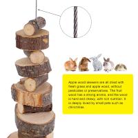 Juguete Masticable Para Conejos Y Hamsters Hecho De Madera Natural Para Moler Los Dientes De Animales Pequeños Como Guineapicos Y Sapos - details 6