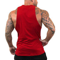 Camiseta De Gimnasio Casual Transpirable Para Hombres Con Malla Secado Rápido Tops De Entrenamiento Sin Mangas Para Fitness Y Correr - details 12