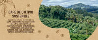 Bonka Café en Grano Natural - 1kg  Granos Seleccionados para un Café Natural y Intenso - Pack de 3 Unidades - details 2
