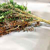 Planta Artificial De Eucalipto Falso 104cm Rattan Vinatera Para Decoración De Jardín Interior Y Exterior Bodas Y Oficinas - details 3