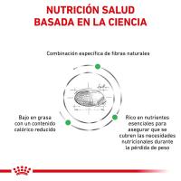 ROYAL CANIN CAT SATIETY WEIGHT BALANCE 3,5Kg - details 2