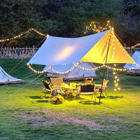 Luz De Cadena LED 10M 80LED Luces De Burbuja De Navidad Decoración De Fiesta De Boda Para El Hogar Y Año Nuevo - details 5