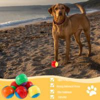 Juguetes Interactivos Para Perros 6Pcs Bolas Sonoras De TPR Masticables Resistentes Al Mordisco Para Limpieza De Dientes Y Entretenimiento - details 4