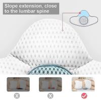 Lumbar Ortopédico Spine Lumbar Sleep Support Soporte Lumbar Cama Almohada Compatible con Ciática Embarazo Cadera - details 2