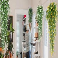 3pcs Plantas Colgantes Artificiales Hoja De Eucalipto Falsa Verdeza Vino De Plástico Resistente Al UV Para Exteriores Decoración De Fiesta - details 2