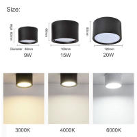 Lámpara De Techo LED Nordic 9W 15W 20W Montada En La Superficie Iluminación Interior Para Sala De Estar Y Dormitorio AC220V Negro Y Blanco - details 4