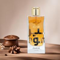 Lattafa Perfume Unisex Ameer Al Oud Intense Oudh Fragancia de 100ml - details 0