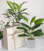Pequeñas Plantas Artificiales En Maceta Para Decoración De Escritorio De Oficina Baño Hogar Estilo Bonsái Material Plástico - details 8