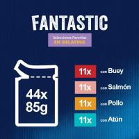 Felix Purina Fantastic Comida Húmeda para Gato Adulto Pack Surtido, 44 sobres - details 1