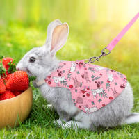 Conjunto De Ropa Para Mascotas Estilo Impresión Transpirable Para Conejos Y Perros Uso Al Aire Libre Correa Y Collar Personalizado - details 9
