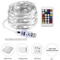 Cadena De Luces LED RGBIC 5M USB 5V Con Bluetooth Y APP De Música Programable DIY Luces De Fairy Para Cumpleaños Y Decoración De Navidad - details 0