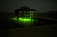 Luz Submersible LED 5M Para Pesca Lámpara De Bait Finder Profunda 50W 12-24V Atracción De Calamares IP68 Auto-Contenida Para Lago - details 5