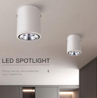 Lámpara De Techo LED De Aluminio COB Spot Light Montada En Superficie 7W 12W Iluminación Interior Para Pasillo Decoración Del Hogar 110V 220V - details 0