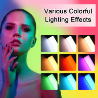 Andoer D3 Luz De Video RGB Portátil Con Batería Y Control Remoto 2500K-9900K 21 Efectos De Iluminación Para Vlog Y Streaming - details 2