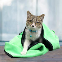Toalla Para Mascotas De Secado Rápido Absorbente Suave Y Lint-Free Para Perros Y Gatos Fibras Poliéster Suministros Para Mascotas - details 3