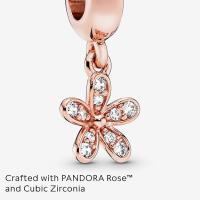 Pandora Abaloriales Mujer Plata-781491CZ, Viene con el embalaje de Caja de Giunte original. - details 1