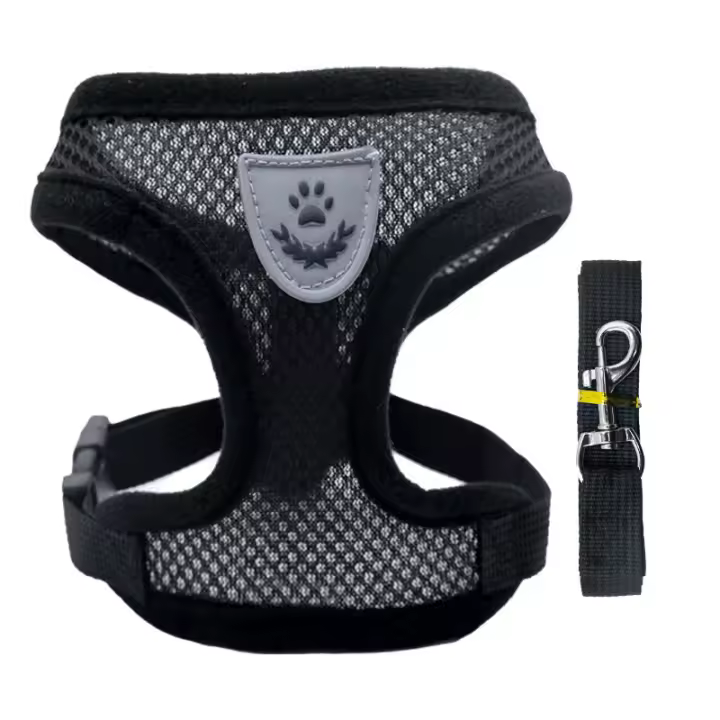 Juego De Correa Para Perros Y Gatos Transpirable Para Paseos En Verano Equipamiento Para Mascotas De Pecho Y Espalda Adecuado Para Perros Pequeños - 1