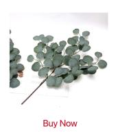5/10pcs Hojas De Ciprés Para Decoración De Navidad Y Bodas Artesanías Y Flores Decorativas Plantas Artificiales De Prensa PP - details 6