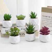 Plantas De Suculentas Artificiales Mini Bonsai Evergreen Cactus Simulación Decoración Para Interiores Plástico Inalámbrico - details 0