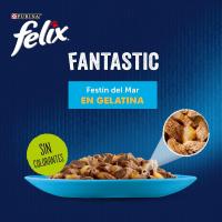Felix Purina Fantastic Comida Húmeda para Gato Adulto Pack Surtido Pescados, 12 paquetes de 4 sobres 85g - 48 - details 2