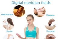 Dispositivo de electroterapia de meridianos de mano para el hogar, masajeador de pulso, masajeador de fisioterapia digital TENS multifuncional, superventas - details 1