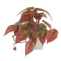 1pc Plantas Artificiales Pequeñas Con Macetas De Plástico Decoración De Escritorio Para Oficina Y Hogar Ambiente Interior Y Exterior - details 18