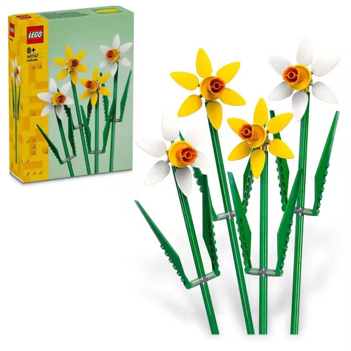 Narcisos - LEGO 40747 - 1