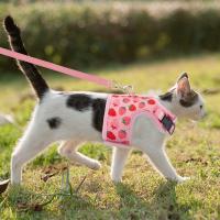 Juego De Correa Y Arnes Para Gato Seguro Ajustable Chaleco Para Gato Joven En Malla Transpirable Rosa Fácil Control Para Caminar Perro - details 2