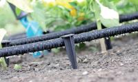Paquete de 100 anclajes para Manguera de Jardín, anclajes de fijación con estacas para Manguera de Goteo, Manguera de cuentes - details 0