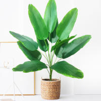 Planta Artificial De Palma Tropical Grande Hojas De Plátano Falso 24 Hojas Toque Real Strelitzia Reginae Para Jardín Interior 65-120 Cm - details 12