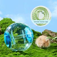 Bola De Ejercicio Para Hamsters Transparente Rueda De Correr Con Cuerda De Tracción Para Pequeños Animales De Compañía Suministros De Mascotas 14cm/18cm - details 2