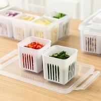 Caja De Almacenamiento De Alimentos Para Nevera Con Tapa De Plástico Acero Inoxidable Y Plástico Para Mariscos Frutas Verduras Caja De Picnic Moderna - details 27