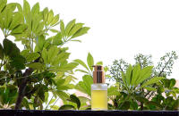 Camassia Principio activo Botox vegetal | Principios activos naturales | Principio activo 100% derivado de plantas - details 1