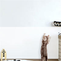 Película Transparente De Protección Estática 2/10M Para Pintura De Látex Protección De Pared Anti-Choques Anti-Manchas Adhesiva PP - details 3