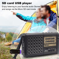 Radio Solar Recargable AM FM Con Conexión De Teléfono Y Altavoz Euler Band Radio Portátil Con Pantalla De Plástico - details 3