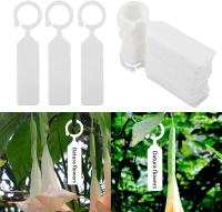 100 piezas de etiquetas de marca de plantas de plástico a prueba de agua etiquetas de árbol de plantas de plástico grueso jardín colgantes etiquetas de plantas de flores (blanco) - details 0