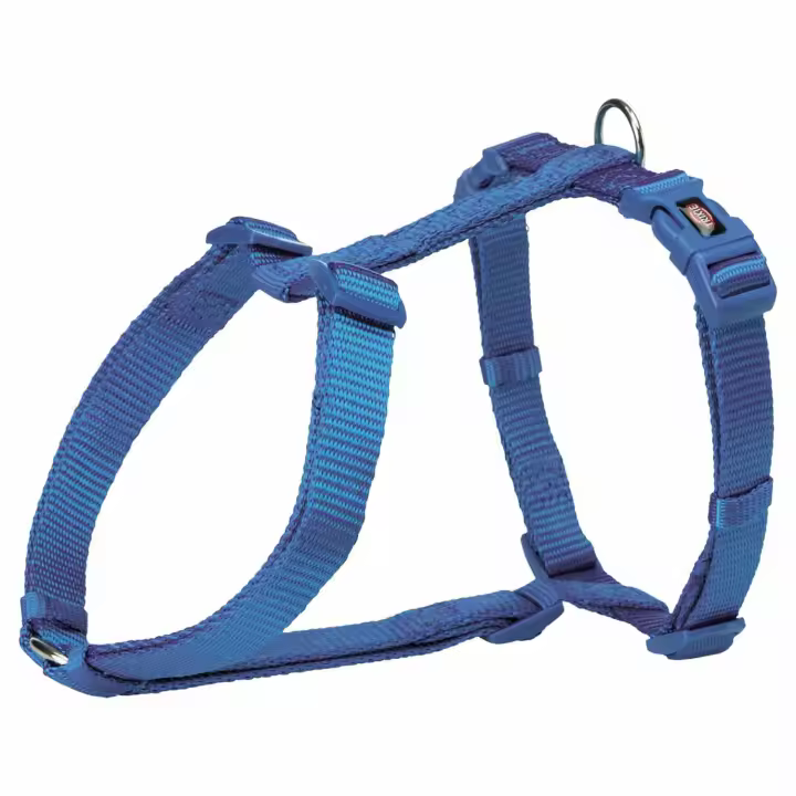 Arnes nylon premium XS-S azul - 1