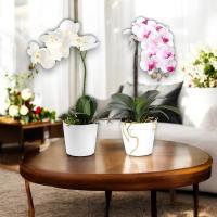 Maceta Orquídeas Artificiales - 43cm - Karawan. - details 0