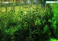 Pipérola De Vidrio Para Acuario Mini Nano Filtro De Agua Skimmer Superficie Inflación Y Eflujo 13mm 17mm Para Plantas Y Tanques De Calidad ADA - details 26