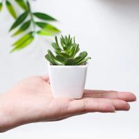 3PCS Bonsái Artificial Para Decoración De Interiores En Hogar Restaurante Y Oficina Planta De Mesa Y Ventana Material Plástico Estilo Bonsái - details 4