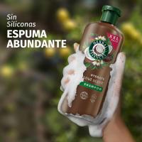 Herbal Essences | Pack Champú Hidratante Con Leche De Coco400ml + Acondicionador Hidratante Con Leche De Coco 350ml+ Mascarilla Para Pelo Seco 500ml - details 1