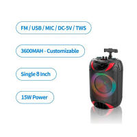 Sanda Altavoz DS-1818 Portátil Grande 8 Pulgadas Bluetooth Inalámbrico con Luces LED Geniales - details 2