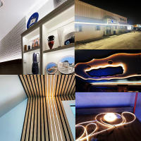 Tira LED COB 220V Con Interruptor Y Potencia Dimmable EU Plug 288LEDs/m 3000k 6000k RA90 Para Jardín Exterior Iluminación De Dormitorio Y Cocina - details 6